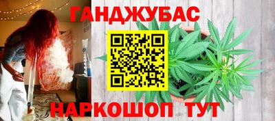 прущие грибы Когалым